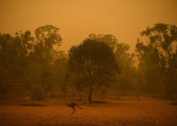50 Juta Dollar AS Terkumpul di Facebook Untuk Donasi Kebakaran Hutan Australia