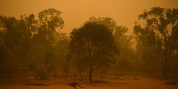 50 Juta Dollar AS Terkumpul di Facebook Untuk Donasi Kebakaran Hutan Australia