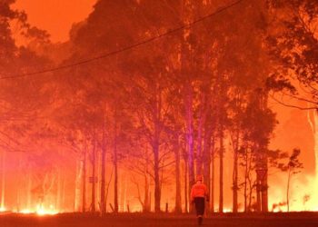 Kebakaran Hutan, WNI di Australia Diimbau Untuk Berhati-hati