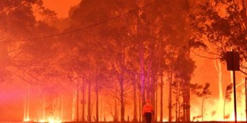 Kebakaran Hutan, WNI di Australia Diimbau Untuk Berhati-hati