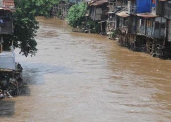 Jadi Penyebab Banjir Jakarta, Pemerintah Lanjutkan Normalisasi Sungai Ciliwung