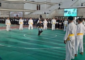 Lestarikan Budaya, UPNVY Resmikan Kejurnas Pencak Silat Piala Presiden 2020