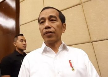 Presiden Jokowi Pastikan 2 WNI Terjangkit Virus Corona