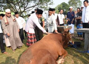 Covid-19 Mengganas, Pemerintah Tiadakan Salat Idul Adha di Zona Merah dan Oranye