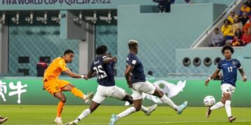Klasemen Grup A Piala Dunia 2022: Belanda & Ekuador Teratas, Qatar Tersingkir