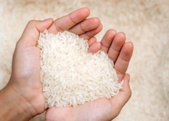 Impor Beras Indonesia Melonjak 121%: Thailand Jadi Pengirim Utama
