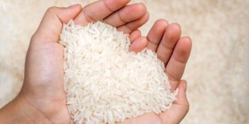 Impor Beras Indonesia Melonjak 121%: Thailand Jadi Pengirim Utama