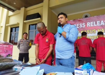 Satresnarkoba Pandeglang Amankan Pelaku Penanam Ganja di Lahan Keluarga