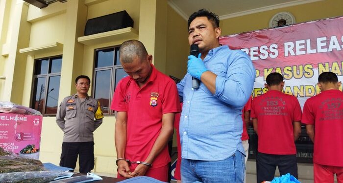 Satresnarkoba Pandeglang Amankan Pelaku Penanam Ganja di Lahan Keluarga