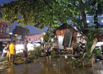 Pemkot Bogor Tanggung Biaya Pemakaman Korban Tertimpa Pohon, Harap Insiden Terakhir