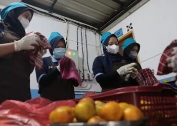 Program MBG Berdampak Ganda, Gizi Sehat dan Gerakkan Roda Ekonomi Lokal