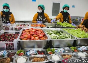 Menjaga Keberlanjutan Pasokan: MBG dan Tantangan Menyelaraskan Kebutuhan Publik