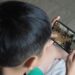Waspada Gejala Anak Teradikalisasi di Dunia Maya, Ini Tanda-tandanya!