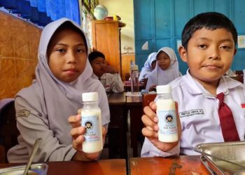 Dari Peternak hingga Industri, DPR Dorong Penguatan Rantai Pasok Susu untuk MBG