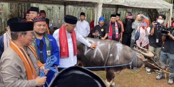 Andilan Kebo: Tradisi Betawi yang Satukan Ketahanan Pangan dan Toleransi