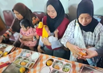 MBG di Posyandu: Ibu Hamil dan Menyusui Rasakan Manfaatnya