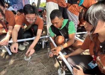 Belajar Jaga Laut, Ratusan Siswa Tanam Terumbu Karang di Bangsring Banyuwangi
