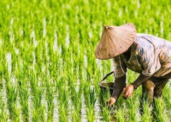 Eks Napiter di Subang Kini jadi Petani, Ikuti Program Deradikalisasi Berbasis Pendekatan Ekonomi