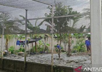 Dukung MBG, Lapas Samarinda Kembangkan Peternakan dan Budidaya Pangan