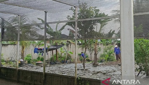 Dukung MBG, Lapas Samarinda Kembangkan Peternakan dan Budidaya Pangan