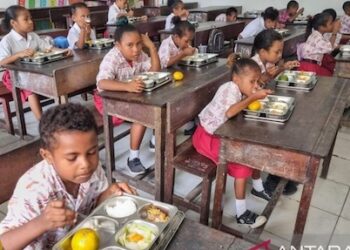 Bentuk Tim Optimalisasi MBG, Pemerintah Pastikan Bantuan Fokus Anak Kekurangan Gizi