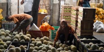 Pedagang Pasar Gede Raup Berkah MBG, Melon Laku Hingga 4 Ton