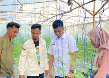Tak Sekadar Program Gizi, MBG di Negeri Lama Hidupkan Ekonomi Petani Lokal