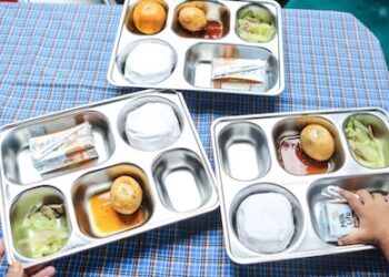 Guru Besar UMY: Program MBG Bisa Jadi Bantalan Overproduksi Telur Ayam Ras