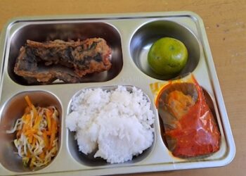 BGN Luncurkan Aplikasi Reviu Menu MBG, Guru dan Posyandu Ikut Awasi Kualitas Makanan