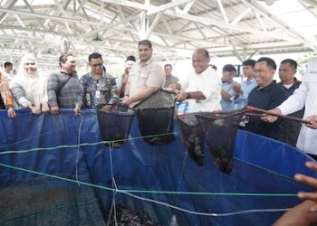 Penguatan Ekonomi Desa dan Pasok MBG, KKP Perluas Budidaya Bioflok dan Panen Lele di Bandung Barat
