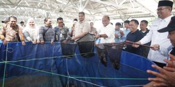 Penguatan Ekonomi Desa dan Pasok MBG, KKP Perluas Budidaya Bioflok dan Panen Lele di Bandung Barat