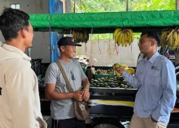 MBG Gerakkan Ekonomi Sukamara, Petani dan Supplier Rasakan Dampaknya