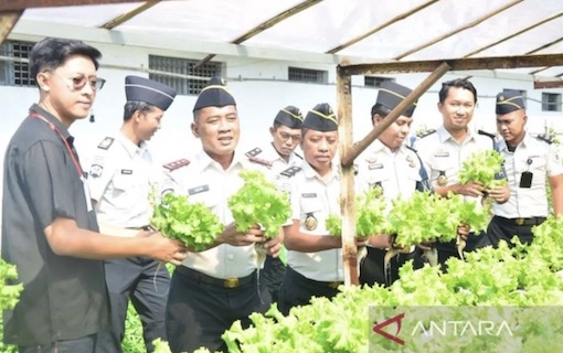 Selada Hidroponik Hasil Kerja Narapidana di Lapas Kelas IIB Lamongan Masuk Rantai Pasok MBG