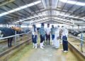 Koperasi Susu Siap Jadi Tulang Punggung MBG, Pasok Susu Pasteurisasi untuk Perkuat Gizi Nasional