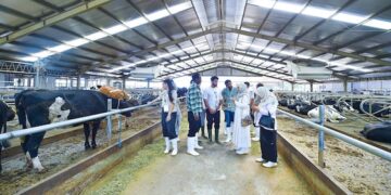 Koperasi Susu Siap Jadi Tulang Punggung MBG, Pasok Susu Pasteurisasi untuk Perkuat Gizi Nasional