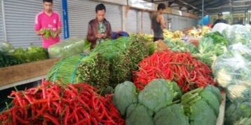 Petani Lebak Disiapkan Jadi Pemasok MBG, Pemkab Kembangkan Sentra Sayuran Dataran Tinggi