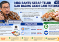 Mendag Ungkap Peran MBG dalam Menyerap Produksi Telur dan Daging Ayam