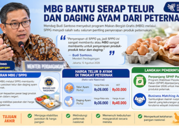 Mendag Ungkap Peran MBG dalam Menyerap Produksi Telur dan Daging Ayam