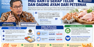 Mendag Ungkap Peran MBG dalam Menyerap Produksi Telur dan Daging Ayam