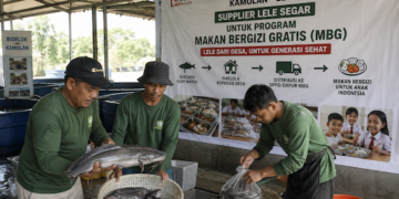 Pemerintah Hubungkan Koperasi Desa dengan Dapur MBG, Petani Tak Lagi Bingung Cari Pembeli
